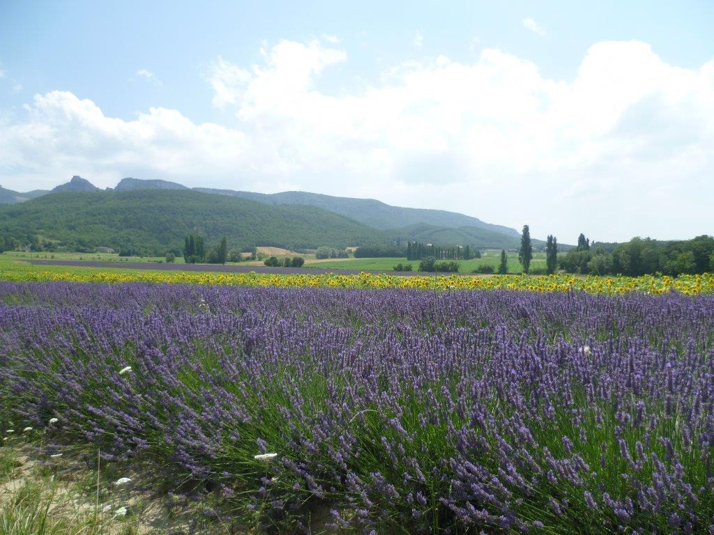 Les Beaux Chenes Villa Pont-de-Barret Buitenkant foto
