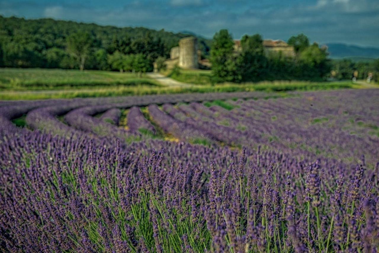 Les Beaux Chenes Villa Pont-de-Barret Buitenkant foto